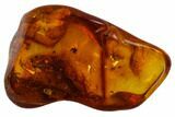 Detailed Fossil Flies, Ant & Spider In Baltic Amber #105523-5